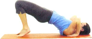 Chakrasana Podul Pose