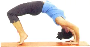 Chakrasana Bridge Поза