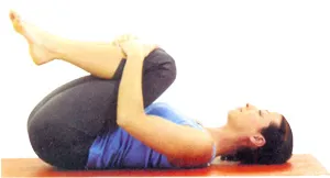 Chakrasana Podul Pose