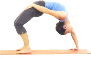 Chakrasana Podul Pose