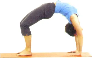 Chakrasana Bridge Поза