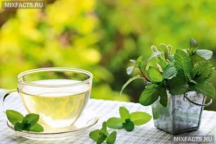 Mennyire hasznos menta tea a nők és férfiak