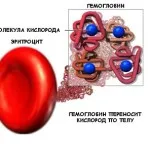 Каква е класификацията на липиди, и това, което те изпълняват функция