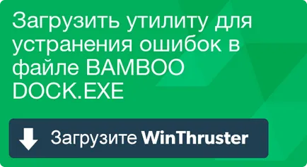 Какво е бамбук, и как да се определи, че съдържа вирус или сигурност