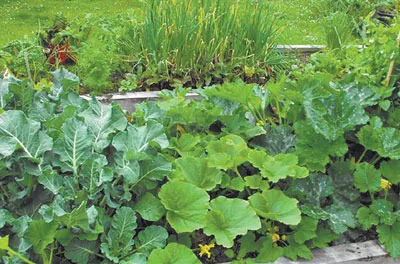 Mit jelent - kevert ágyas lehet ültetni a kertbe ilyen példákkal