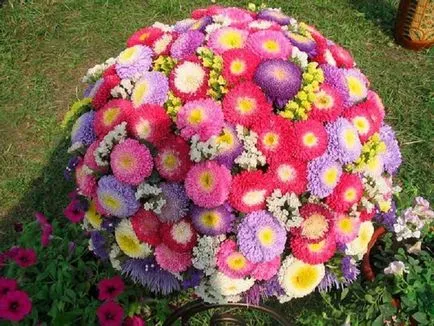 Квіти для дачі багаторічні