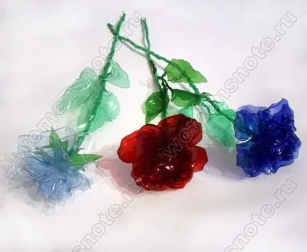 Flori dintr-o sticla de plastic
