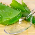 Floare de aloe în cultivarea acasă