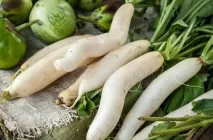 Daikon ültetési ideje a nyílt terepen, vyrschivanie hogyan kell tartani hasznos tulajdonságok, retek fajták