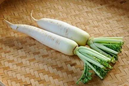 Daikon minovasi, Sașa, alte soiuri, de îngrijire, datele de plantare, cum se păstrează ridichi în creștere în aer liber