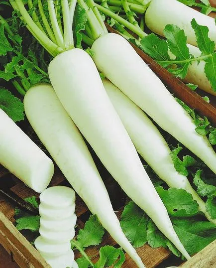 Daikon minovasi - népszerű alfaja vetés retek