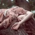 До чого сняться мошки, сонник мошки уві сні (сонник) До чого сняться мошки, сонник мошки уві сні