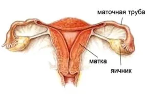 Клімакс після видалення матки, хірургічна менопауза (клімакс) Клімакс після видалення матки, хірургічна менопауза