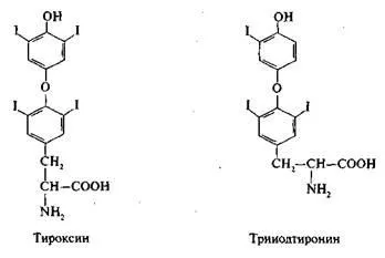 Класифікація і механізм дії гормонів (Класифікація механізм дії) Класифікація і механізм дії гормонів