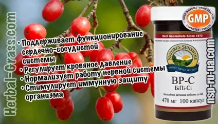 Кизил лікарський - фото, застосування, протипоказання, корисні, лікувальні властивості, препарати (застосування) Кизил лікарський - фото, застосування, протипоказання, корисні, лікувальні властивості, препарати