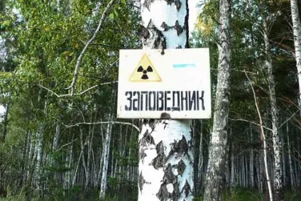 Катастрофа на комбінаті «маяк»