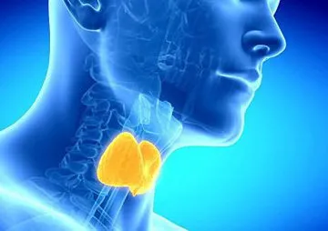 Диета за щитовидната жлеза за загуба на тегло - какво да се използва и за какво да се отхвърли