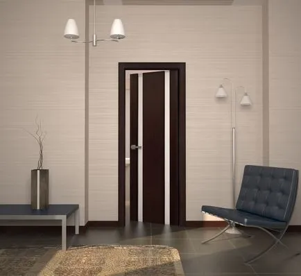 Uși wenge în interior cu sticlă și metal exterior, laminat, PVC,