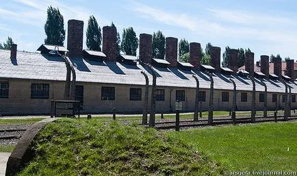 Fabrica de moarte Auschwitz (Oswiecim), blog-uri din întreaga lume