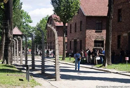 Fabrica de moarte Auschwitz (Oswiecim), blog-uri din întreaga lume