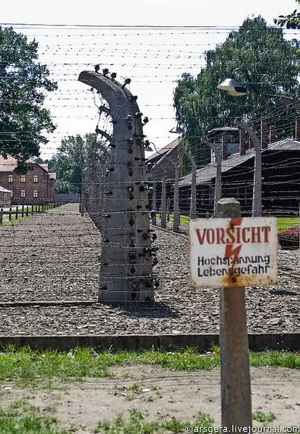 Fabrica de moarte Auschwitz (Oswiecim), blog-uri din întreaga lume