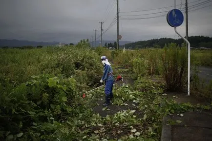 Fukushima ma, fotó hírek