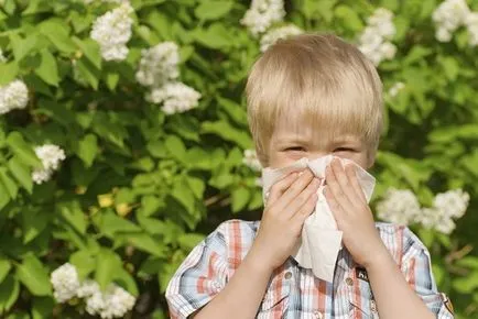 Hemangioma és nazális tünetek, okok, diagnózis és kezelés