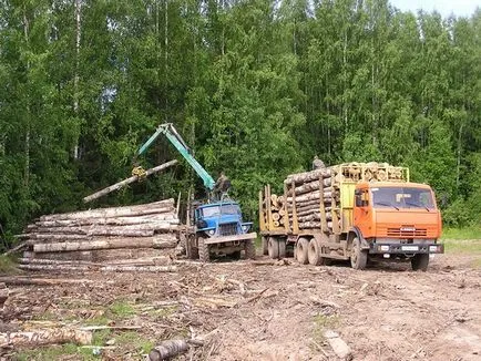 Географията на света на промишлеността, география