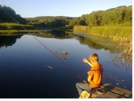 Хомогенатът - безпилотен самолет желе му къща в село