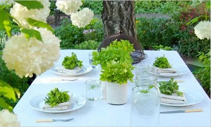 Idei pentru un picnic în decor spațiu de grădină, alegerea de mobilier și veselă
