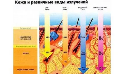 Infravörös melegítők az egészségre ártalmas, megtudhatja minden titkát ennek a technikának