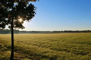 Кому вигідний земельний мораторій, економічні звістки (кому) Кому вигідний земельний мораторій, економічні звістки