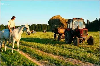 Контролюйте свою кінь, а не мир навколо, старий друг (свою) Контролюйте свою кінь, а не мир навколо, старий друг