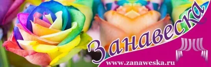 Комп'ютерна база штор фіранка