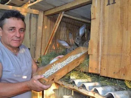 Комбікорм для кроликів своїми руками (кроликів своїми руками) Комбікорм для кроликів своїми руками