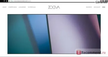 Shop Online zoeva