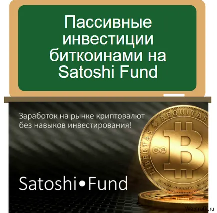 Investițiile în fond Satoshi - randament de înregistrare