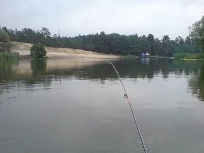 A tanulmány az alsó topográfia feeder horgászat