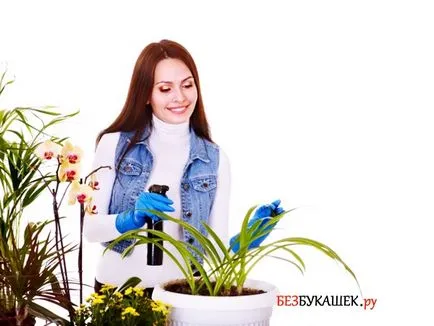 Cum să se ocupe cu acarieni pe houseplants decât tratarea