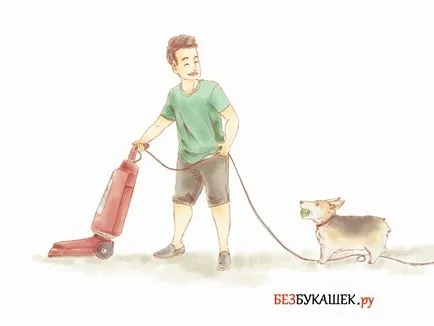 Cum de a obține rapid scăpa de purici la câini ce să facă și cum să se ocupe de