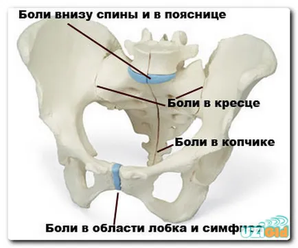 Как ултразвук кост пубис по време на бременност