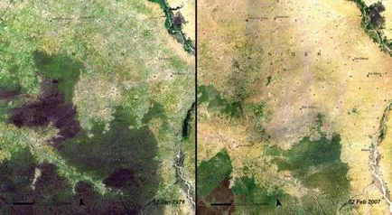 Cum de a schimba planeta noastră în ultimii 50 de ani - faktrum