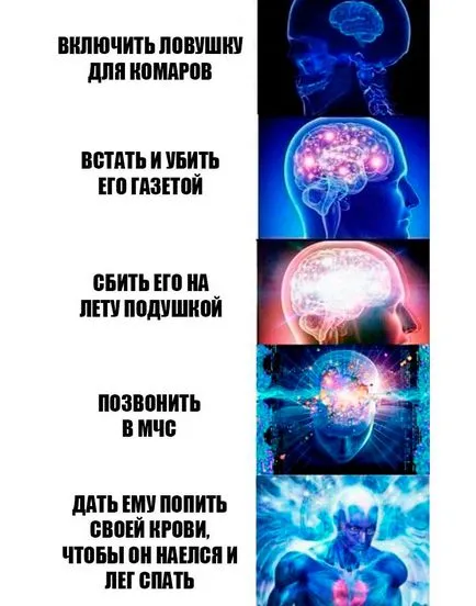 Как да се отървем от комари в къщата - лекарства и народни средства за защита!