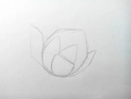 Cum de a desena o floare creion tutorial pas cu pas pentru incepatori