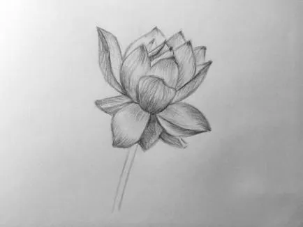Cum de a desena o floare creion tutorial pas cu pas pentru incepatori