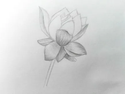 Как да се направи едно цвете молив поетапно урок за начинаещи