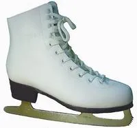 Cum să învețe să patineze