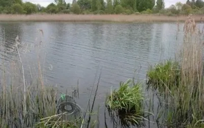 Як спіймати карася