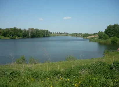 Cum de a prinde crap în cazul în lac pentru prima dată