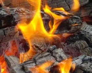 Hogyan készítsünk egy tűz gyorsan és helyesen